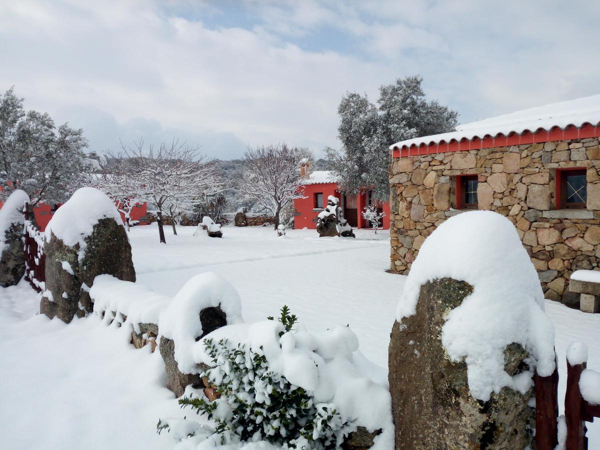 Turismo Rurale L'Agliuledda Villa Sant'Antonio di Gallura Exterior foto